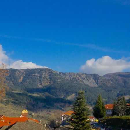 Hotel Galaxias Metsovo Exteriér fotografie