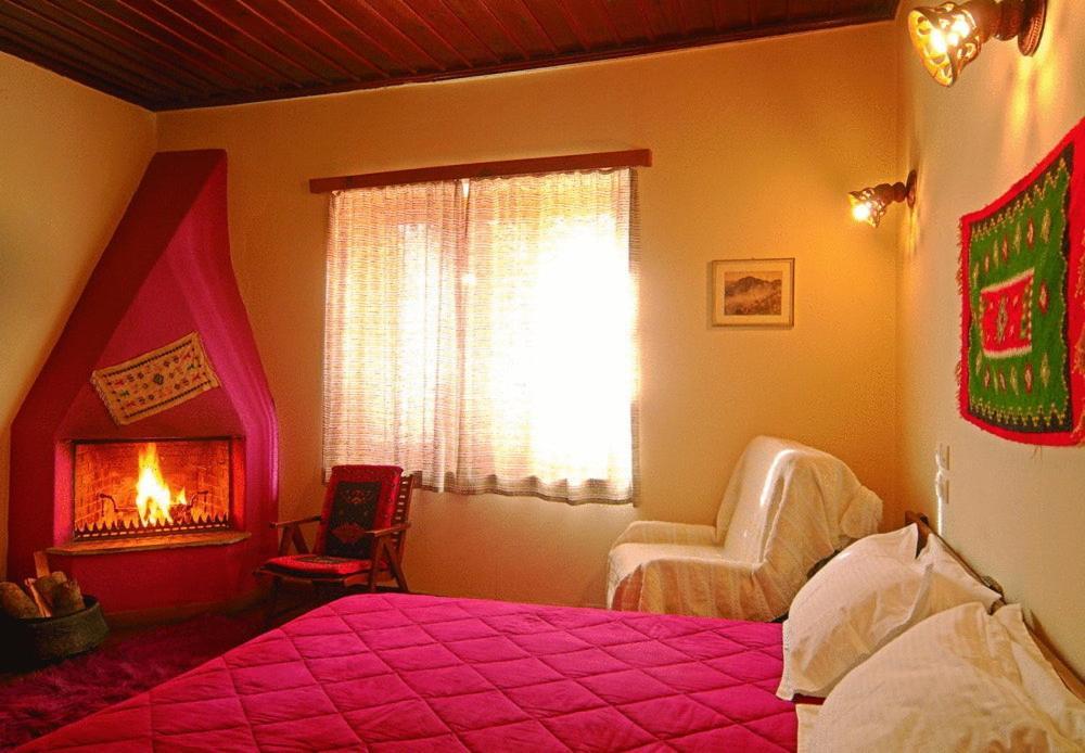 Hotel Galaxias Metsovo Pokoj fotografie